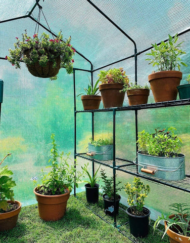 Ohuhu Greenhouse for Outdoors with Screen Windows