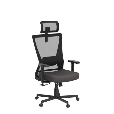 Dripex Ergonomic Office Chair with Lumbar Support