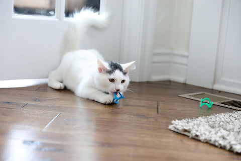 Interactive Cat Toys, Cat Crazies Multi Pack