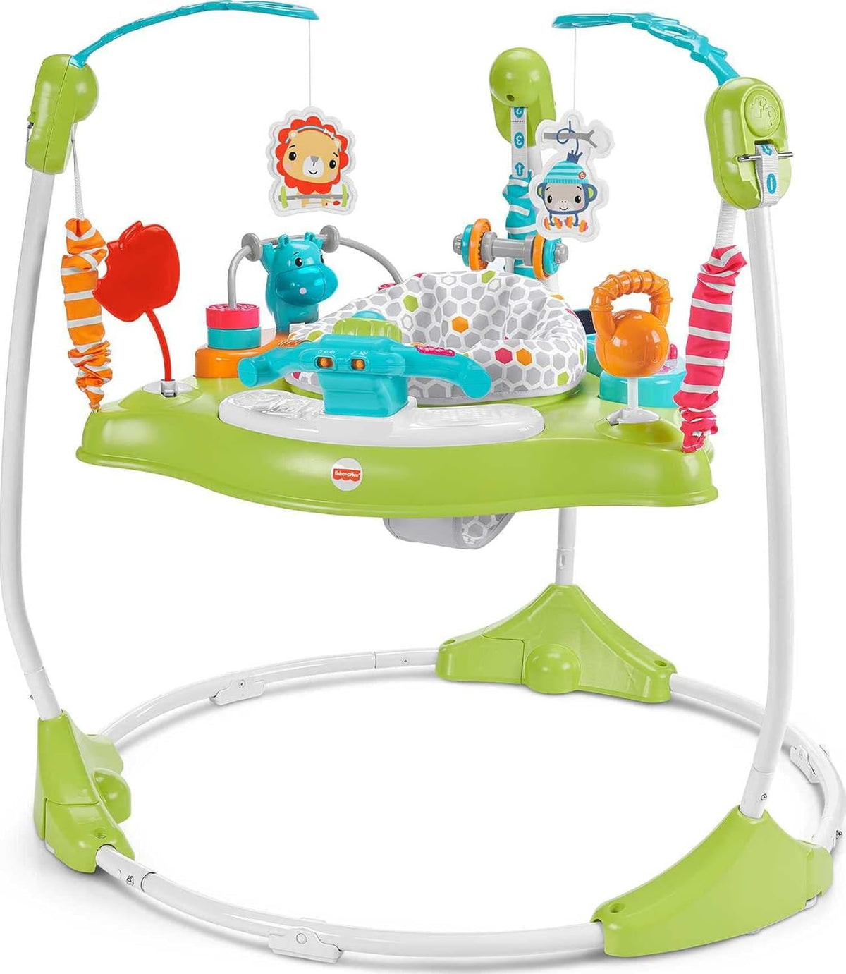 FISHER-PRICE Vibrant Musical Baby Bouncer Jumperoo with Lights