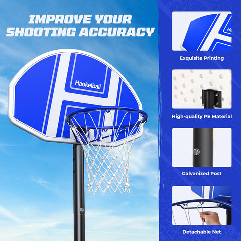 Haokelball Poolside Basketball Hoop with 2 Balls and Pump