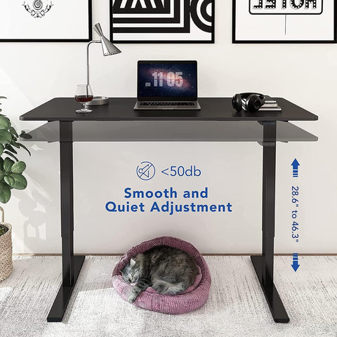 FLEXISPOT Standing Desk, Electric Height Adjustable Desk