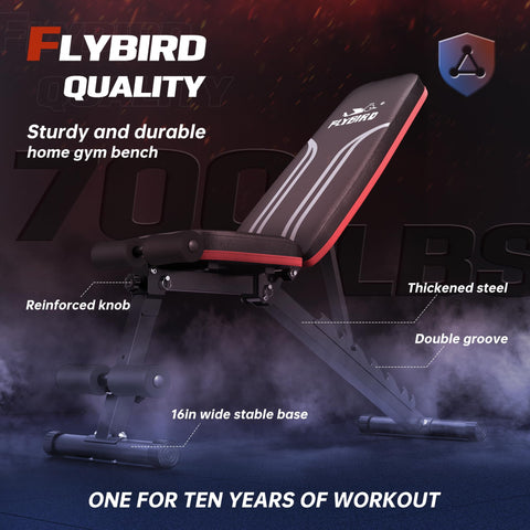 FLYBIRD Adjustable Weight Bench Workout Bench for Home Gym